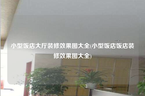 小型飯店大廳裝修效果圖大全(小型飯店飯店裝修效果圖大全)