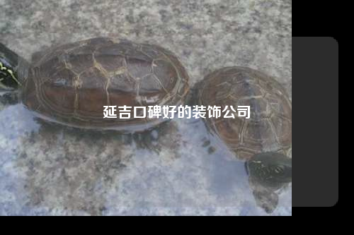 延吉口碑好的裝飾公司