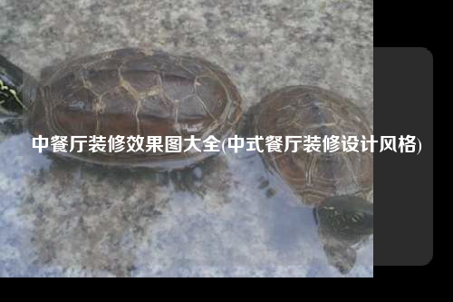 中餐廳裝修效果圖大全(中式餐廳裝修設計風格)