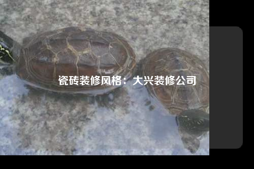 瓷磚裝修風(fēng)格:大興裝修公司