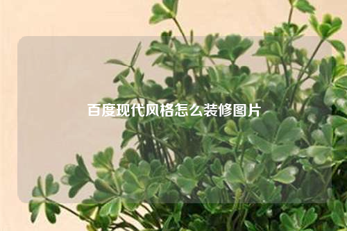 百度現(xiàn)代風(fēng)格怎么裝修圖片