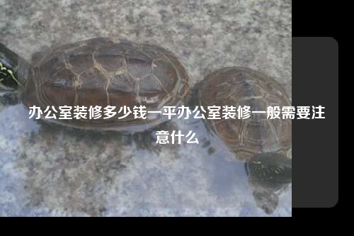 辦公室裝修多少錢一平辦公室裝修一般需要注意什么