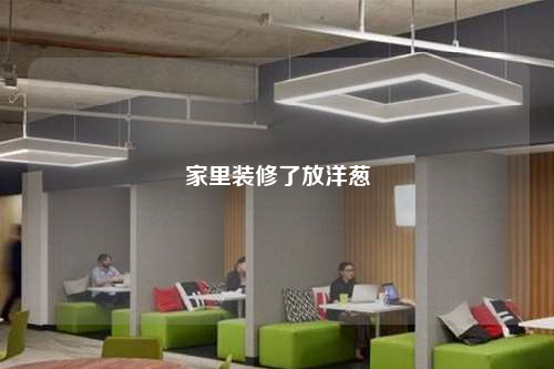 家里裝修了放洋蔥