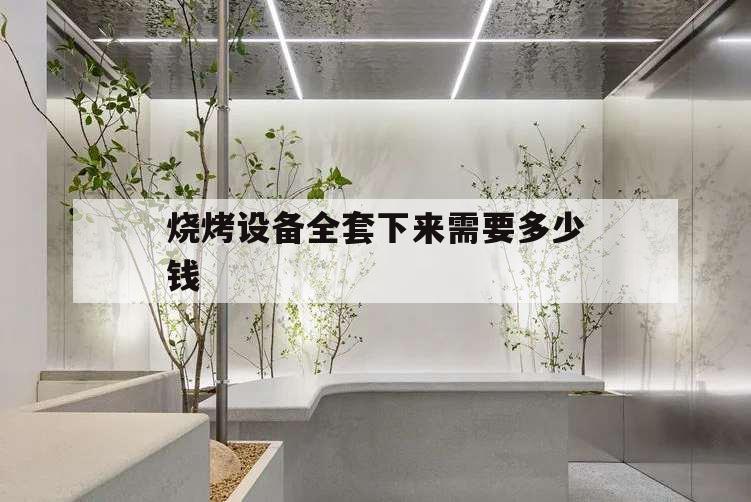 燒烤設(shè)備全套下來需要多少錢,燒烤機(jī)多少錢