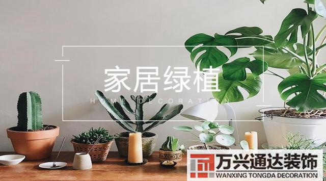 裝修綠植裝修綠植墻