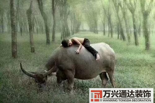 占星的風水占星占什么