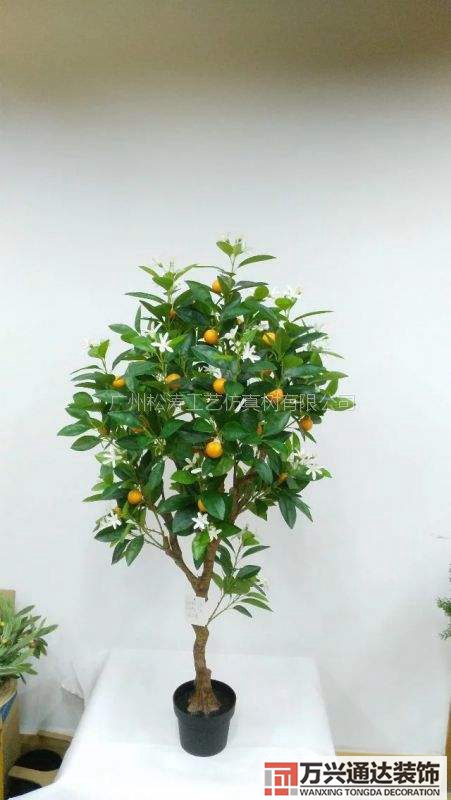 橘子樹(shù)風(fēng)水橘子樹(shù)風(fēng)水好嗎