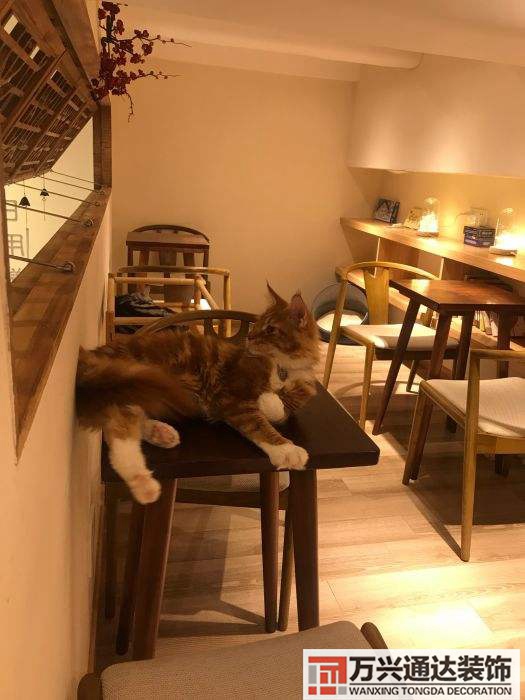 徐匯區(qū)連鎖店鋪裝修上海徐匯區(qū)寫字樓裝修