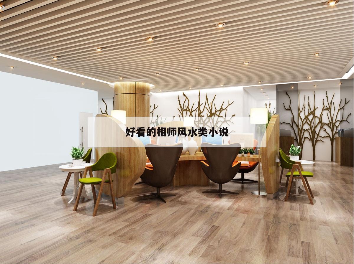 好看的相師風水類小說,好看的相師風水類小說排行榜